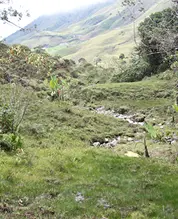 Supata